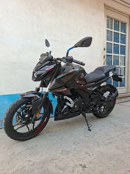 Pulsar N250 Ug 2025 Carburada