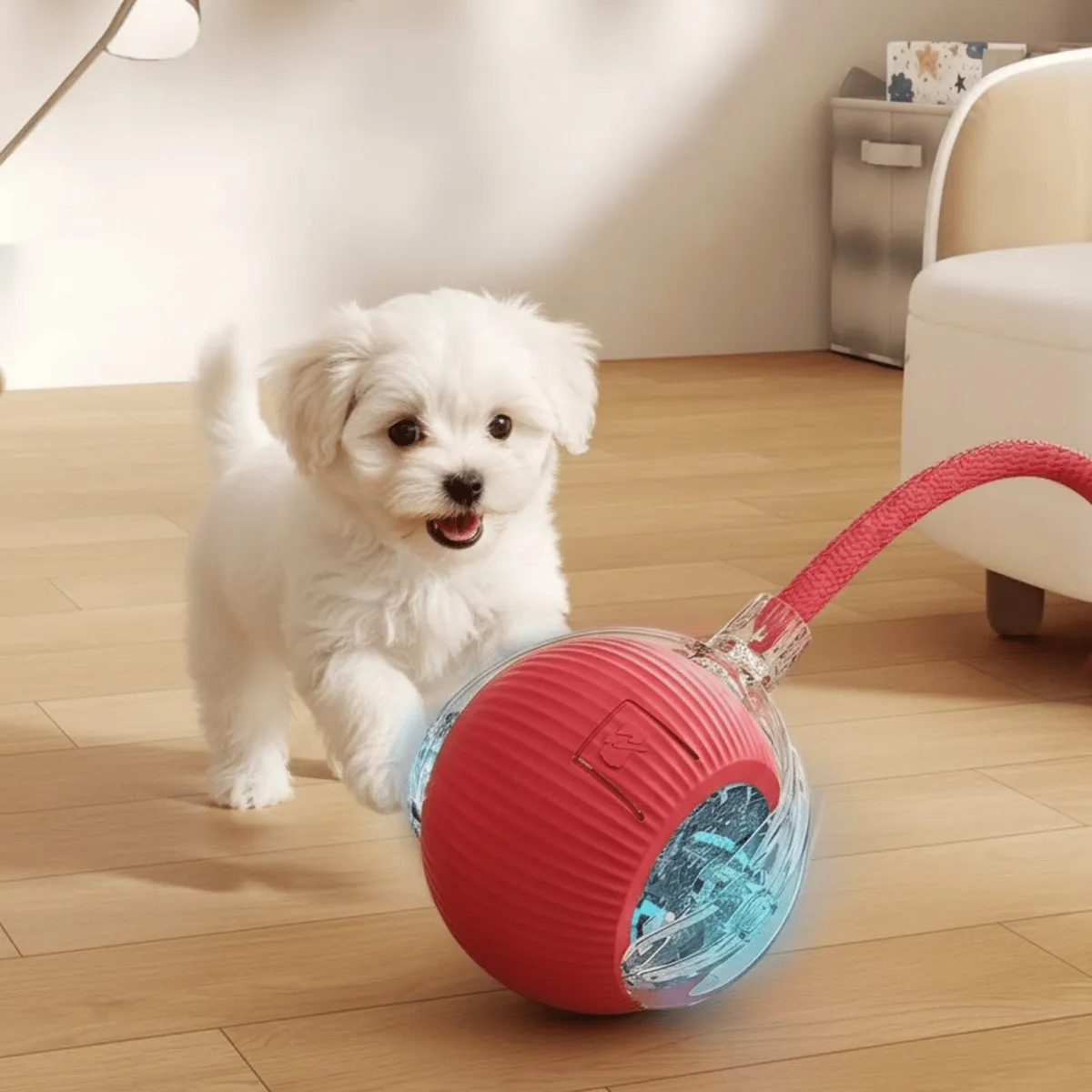 Bola Pet Inteligente Giratória Recarregável Usb Brinquedo Cachorro Cão E Gato - Imagem 4