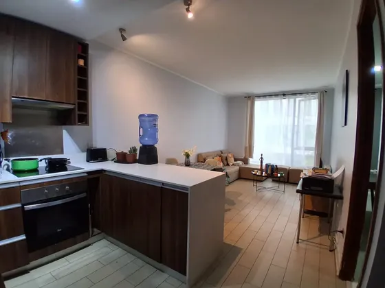 Departamento En Venta En Plaza De Asís Cantagallo