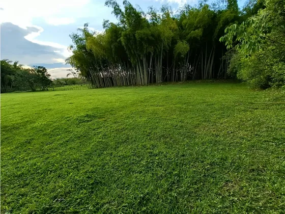 Se Vende Lote En Montenegro - Quindío
