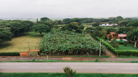 Venta De Lote En Rozo Valle Sector La Torre