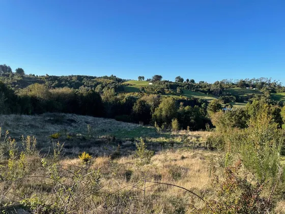 Se Vende Hermosa Parcela En Chiloé