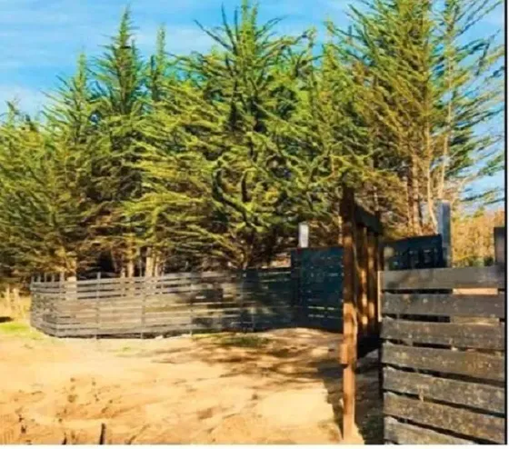 Venta Terreno, Litueche Navidad