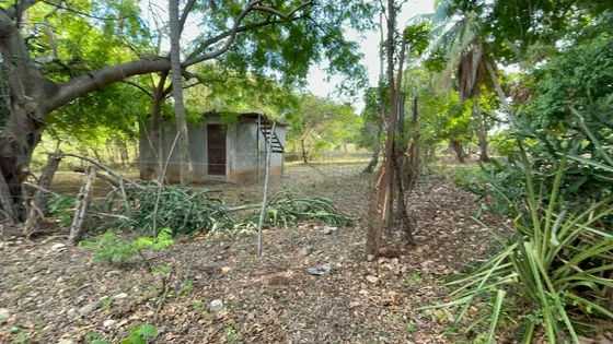 Vendo Finca De 14 Tareas En Najayo