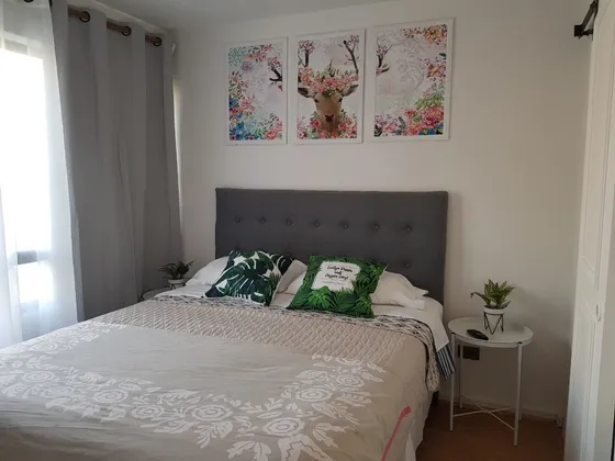 Romántico Departamento En Providencia