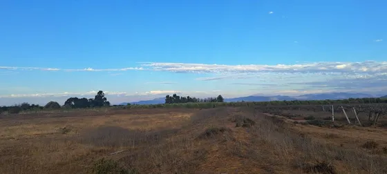  Adjudicado Banco Terreno Agrícola 400 Ha Sta Rosa De Tabali