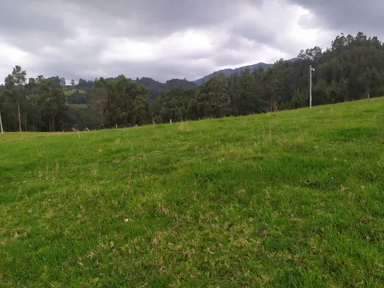 Lote Rural 4.990 M2. Se Vende O Permuta. Sotaquirá Boyacá