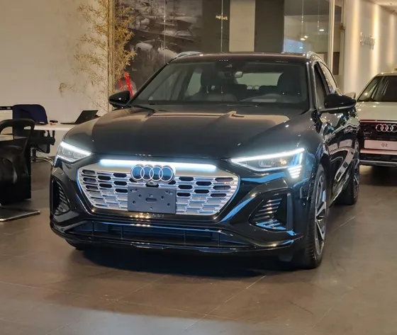 Audi Q8 3.0 55 Tfsi Quattro