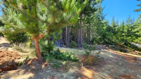 Vendemos Parcela 6000 M2 - Lomas De Pichilemu