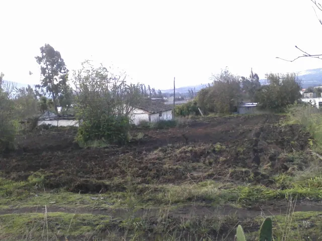 Lote De Terreno De 1810 Metros Cuadrados