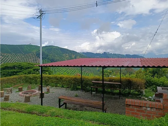 Venta Finca Palestina Caldas 