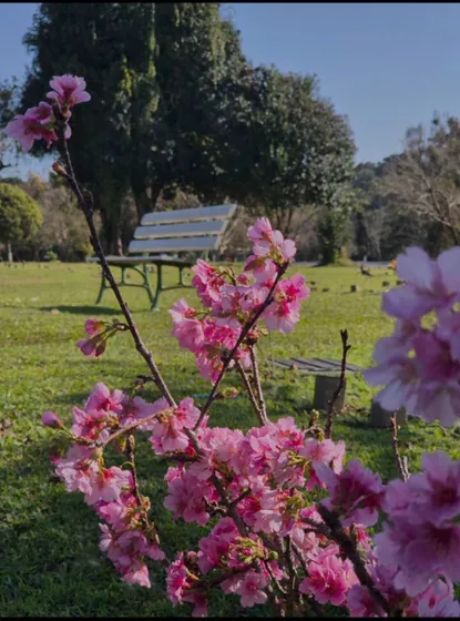 Descanso Merecido No Melhor Lugar Da Cidade - Cemitério Parque Iguaçu