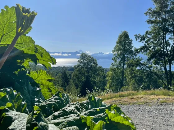 Parcelas Mirando El Calafquen, Entre Panguipulli Villarrica