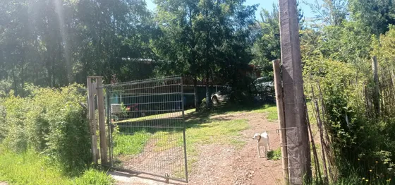 E34346 - Venta Parcela C Casa - 5000mts - Cuno Bajo Loncoche