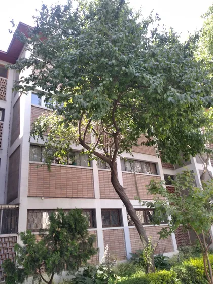 Habitación Amoblada En Providencia - Arriendo Mensual