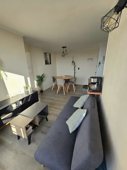 Arriendo Depto Amoblado 3d, 1b, Estac. (edificio C/ascensor)