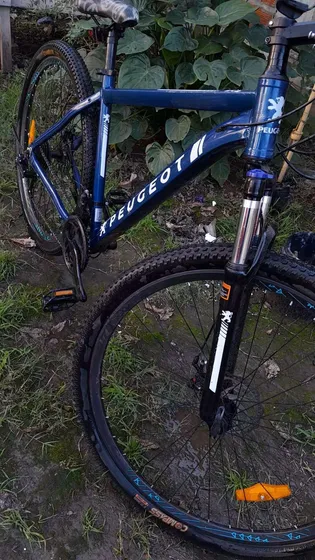 Bicicleta Rodado 29