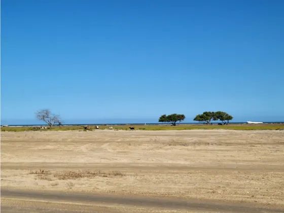 Venta De Lote Frente Al Mar En Manaure Guajira 