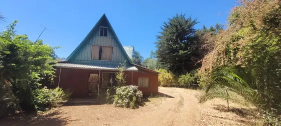 Rebajado!!! Vende Campo 12.5 Ha Plantadas Orilla De Camino
