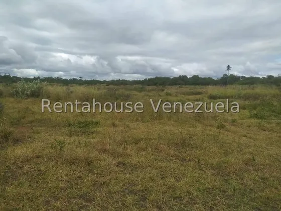 Ab Atención Inversionista... !!! Excelente, Amplio Y Productivo Terreno Con Tierra Provechosa Para La Agricultura , Siembra De Cocotales Y Ganadería