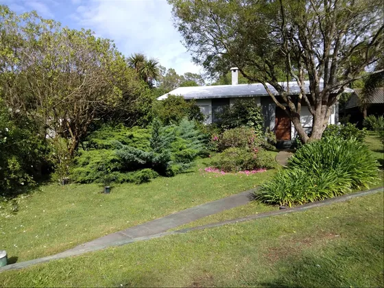 Alquiler Anual Casa 3 Dormitorios En Punta Ballena