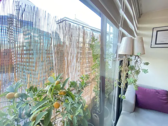 Depto 1 Domr/1 Baño En Barrio Bosque  Norte