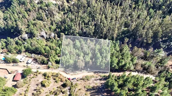 Se Vende Terreno De 5000 M2 En Condominio, Cáhuil, Pichilemu
