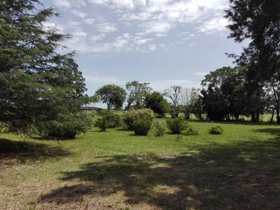 Venta Lotes De 1000 A 2000 M2 Con Escritura Barrio Abierto La Merced 515 Y 149 La Plata