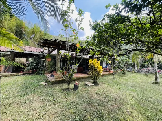 Vendo Finca De 3 Hectáreas Con 2.000 M2 En San Roque, Antioquia 