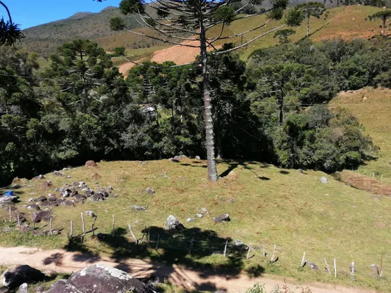 Terreno Com Córregos Em Dois Irmãos - Itamonte Mg