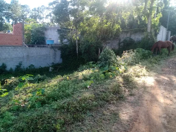 Terreno 