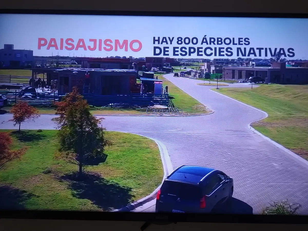 Lote Central