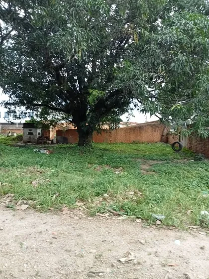 Terreno De Esquina  En Avenida Principal De Tinaquillo, Cojedes. L.m