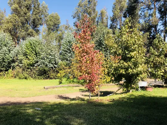 Hermosa Parcela En Catemu