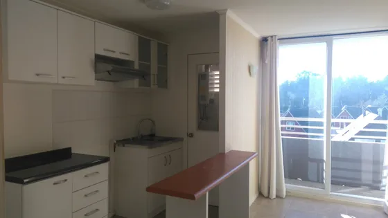 Depto 3 Dorm 1 Baño, Excelente Estado Cond Alto La Paloma