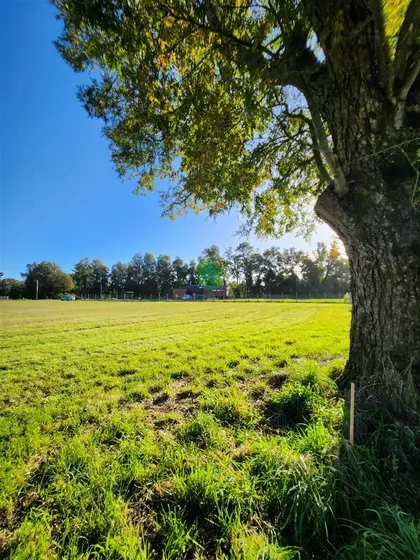 Parcela En Venta En Pelchuquín