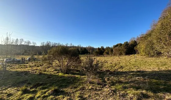 Venta 4 Parcelas De 5000 Mts En Panguipulli