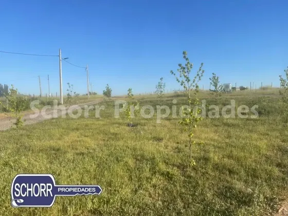 Parcela Camino Palmira En Venta En Talca