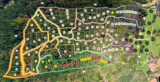 Venta Parcela - 5.000 M2 - Cauquenes