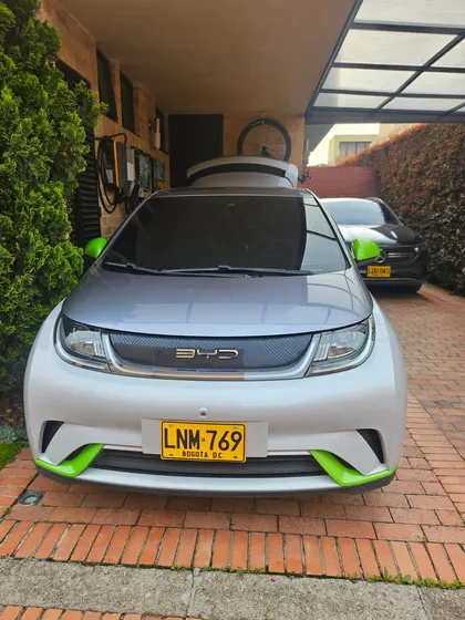 Byd Dolphin Dolphin
