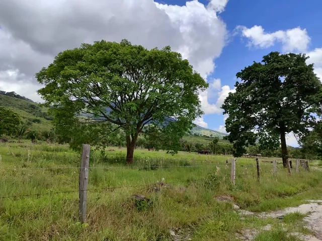 Em. Se Vende Finca   Fundo En El Piñal  El Jordán 