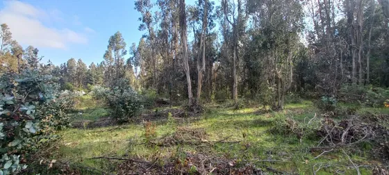 Parcela De 2,3 Hectareas En Quinamávida  Colbún, Vii Región