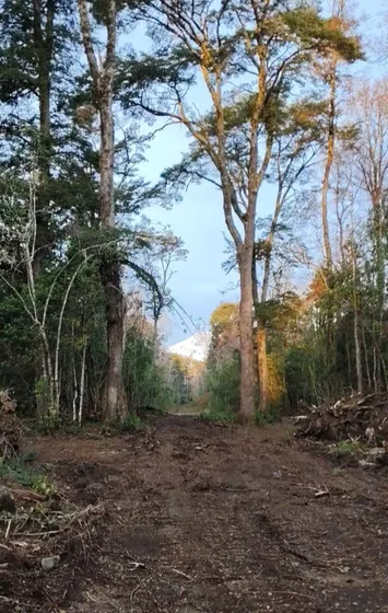 Parcela Con Luz Y Agua A 15 Min. Pucón, 15 Min. Villarric De