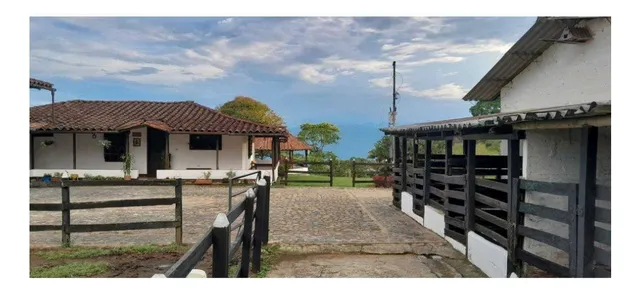 Vendo Finca De 15 Cuadras En Fredonia Para Cultivo Y/o Ganadería