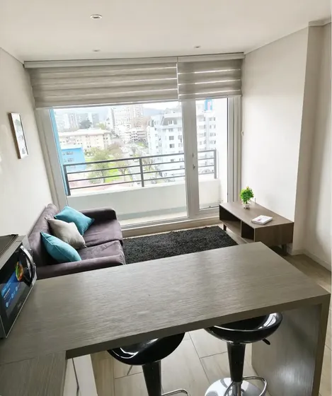 Se Arrienda Departamento Amoblado Concepción Centro