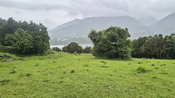 Sitio En Venta En Cochamo