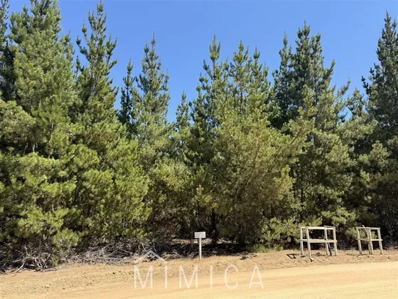 Vende Mimica Propiedades Algarrobo