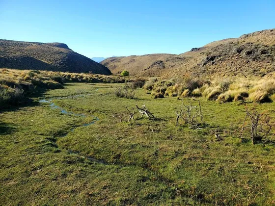 Patagonia, 1.630ha Campo En Chile Chico