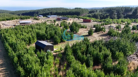Parcela Con Agua, Vista Mar Y Casa, Alto Colorado, Pichilemu