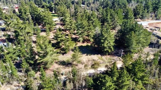 Se Vende Parcela En Fundo La Petrilla, Km 7, Algarrobo.